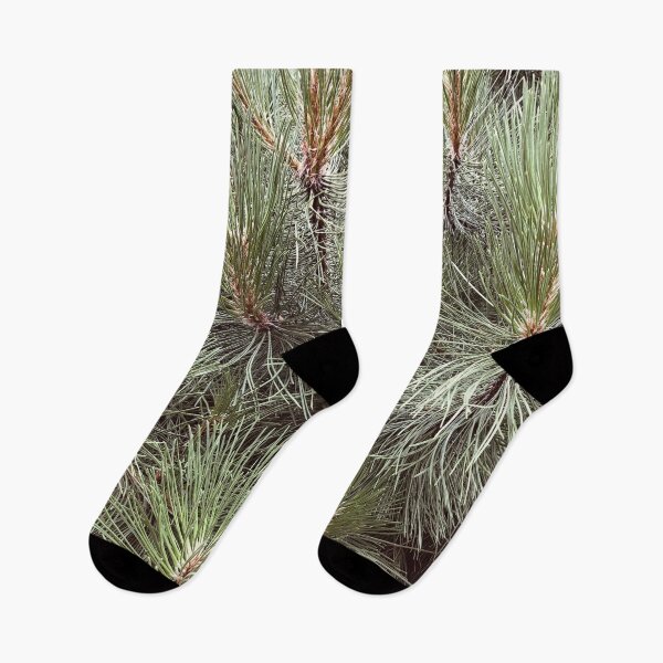 Item preview, Japanese Black Pine Needles Matsu Garden designed and sold by HppyStrngHelthy.