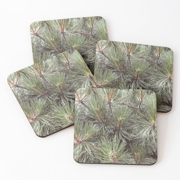 Item preview, Japanese Black Pine Needles Matsu Garden designed and sold by HppyStrngHelthy.