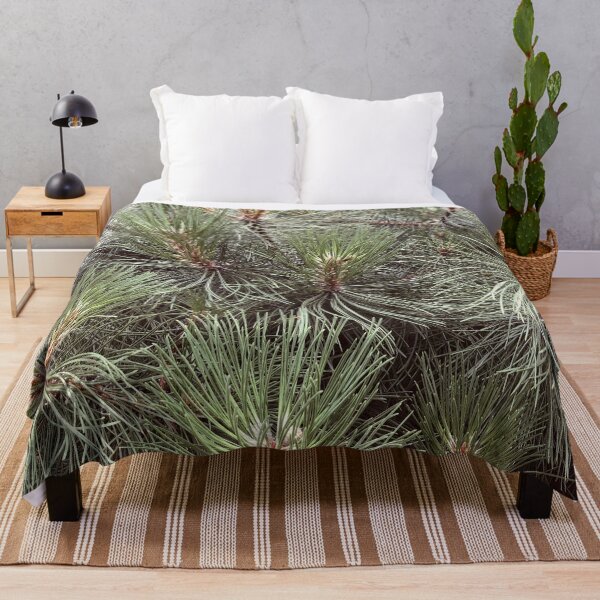 Item preview, Japanese Black Pine Needles Matsu Garden designed and sold by HppyStrngHelthy.