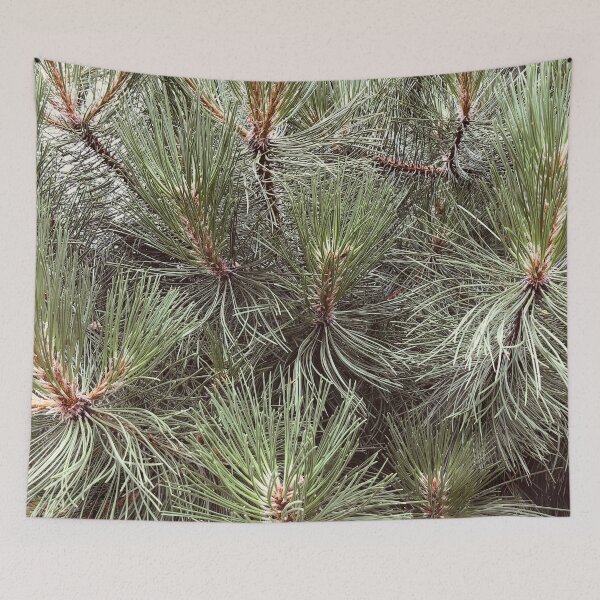 Item preview, Japanese Black Pine Needles Matsu Garden designed and sold by HppyStrngHelthy.