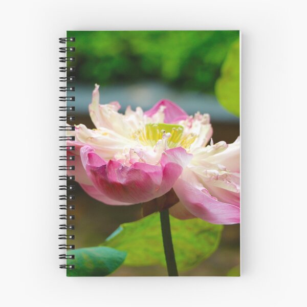 Item preview, Lotus Flower designed and sold by Robyn Williams.