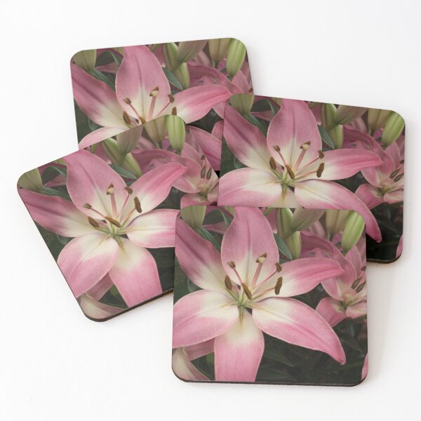 Item preview, Biltmore 73 designed and sold by rebeccaholbrook.