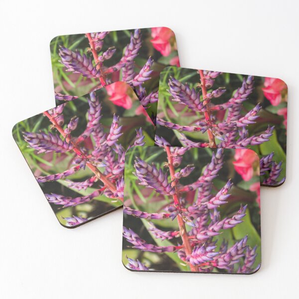Item preview, Biltmore 74 designed and sold by rebeccaholbrook.