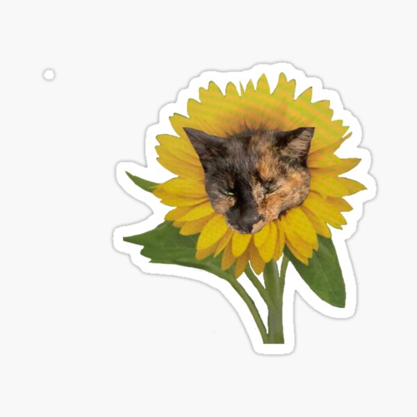 Sunflower cat Sticker