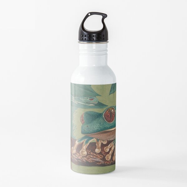 Orange-Eyed Tree Frog Water Bottle