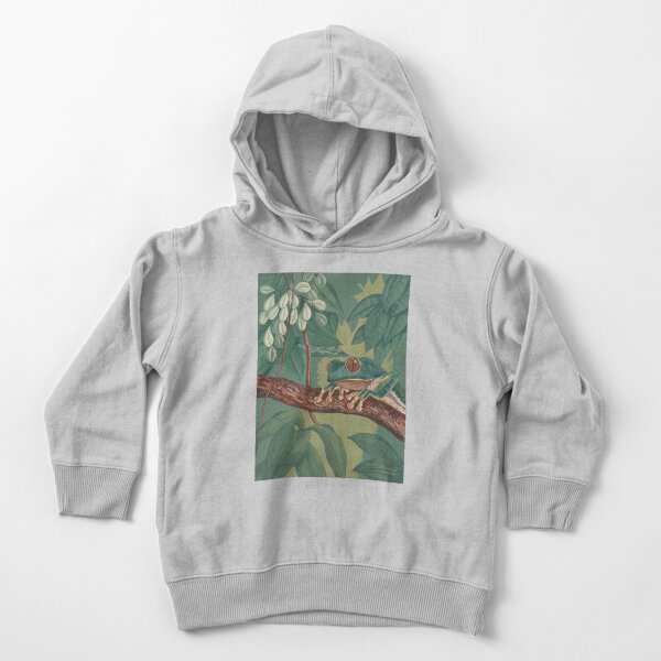 Orange-Eyed Tree Frog Toddler Pullover Hoodie