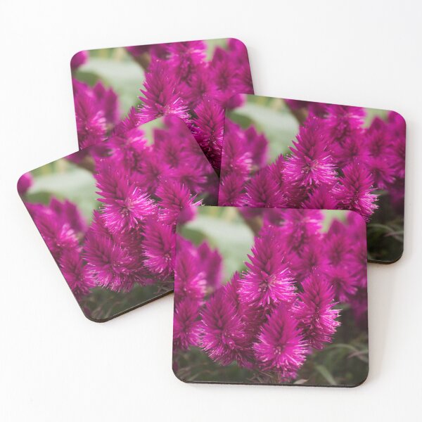 Item preview, Biltmore 75 designed and sold by rebeccaholbrook.