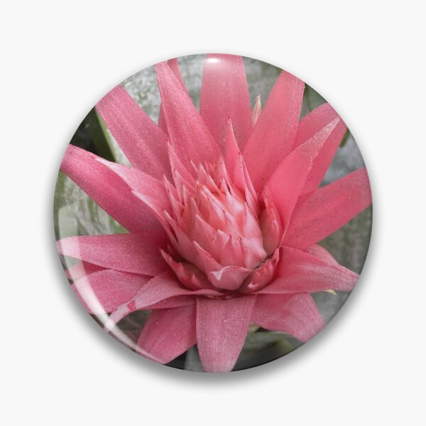 Item preview, Protea Exotic Plants Photography designed and sold by OByD.