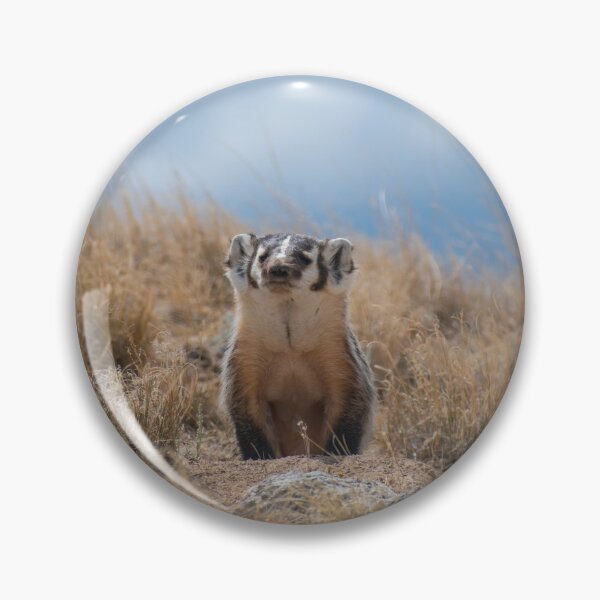 Item preview, Curious Badger designed and sold by MustelidMayArt.