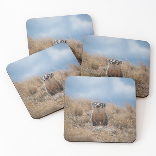 Item preview, Curious Badger designed and sold by MustelidMayArt.