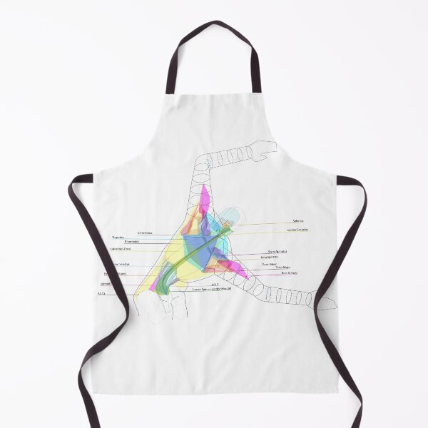 Item preview, Back Torso Muscles designed and sold by Squid-ink-art.