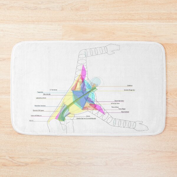 Item preview, Back Torso Muscles designed and sold by Squid-ink-art.
