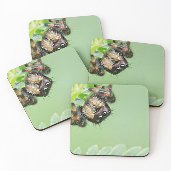 Item preview, Jumping Spider in the Corner designed and sold by Kayleigh Wilson.