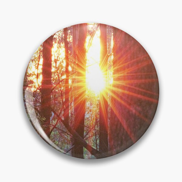 Item preview, Sunlight through forest trees designed and sold by Daniel Wieland.