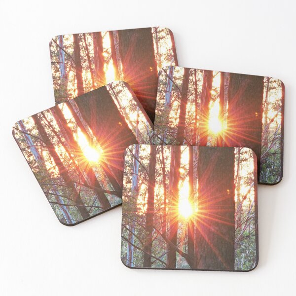 Item preview, Sunlight through forest trees designed and sold by Daniel Wieland.