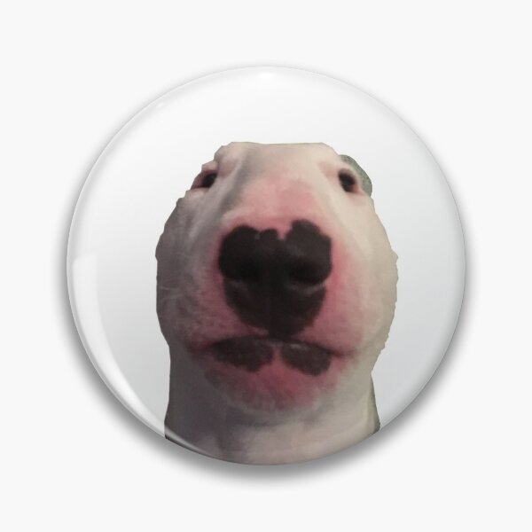 Item preview, Cursed Dog Sticker designed and sold by nicole7e.
