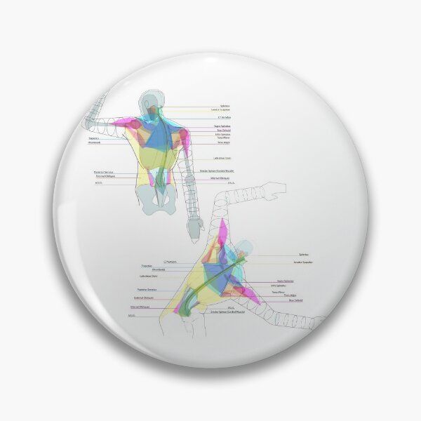 Item preview, Back Torso Muscle Diagrams designed and sold by Squid-ink-art.