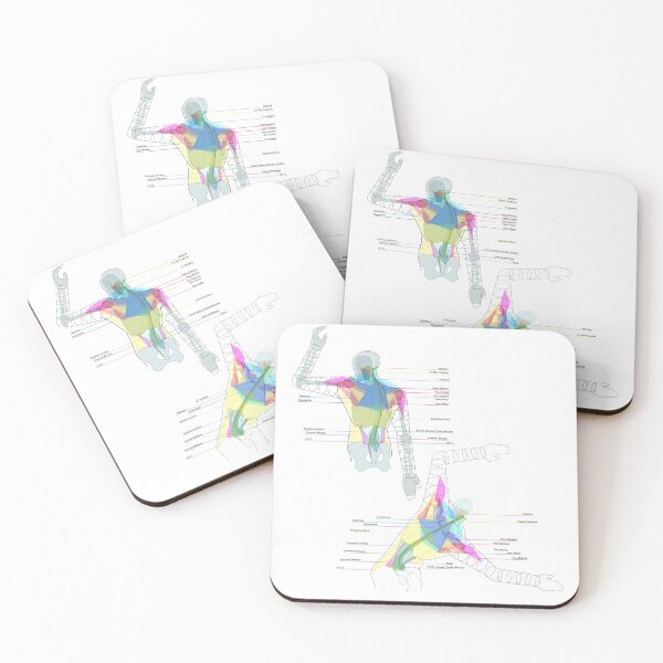 Item preview, Back Torso Muscle Diagrams designed and sold by Squid-ink-art.