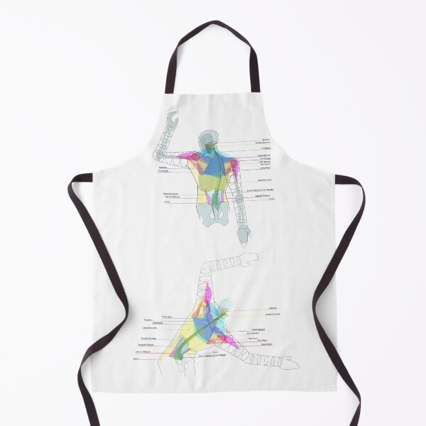 Item preview, Back Torso Muscle Diagrams designed and sold by Squid-ink-art.