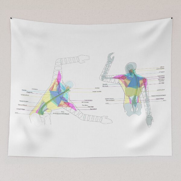 Item preview, Back Torso Muscle Diagrams designed and sold by Squid-ink-art.