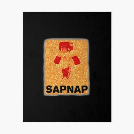 Nicknames for Sapnap: sippycup, snapmap, sapitus napitus, sappy