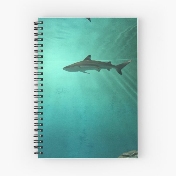 Item preview, Shark designed and sold by MC-collection.