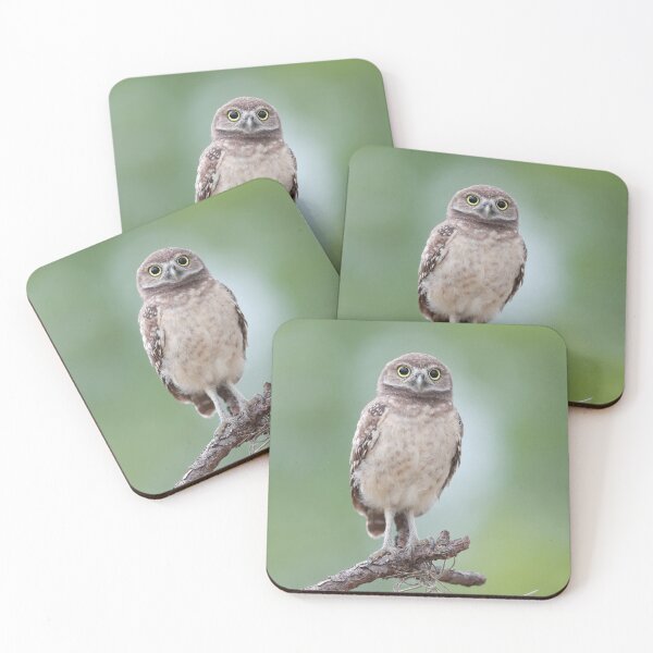 Item preview, Burrowing Owlet designed and sold by mlorenz.