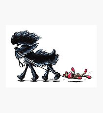 Busy Affenpinscher Photographic Print