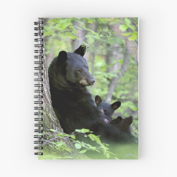 Item preview, Mother Bear Nursing Her Cubs designed and sold by mlorenz.