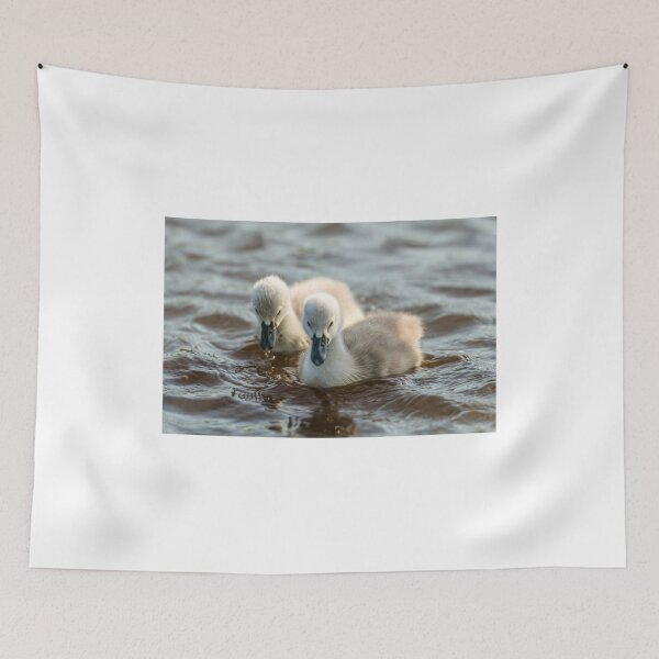 Item preview, Wild Baby Cygnets designed and sold by Alius Imago.