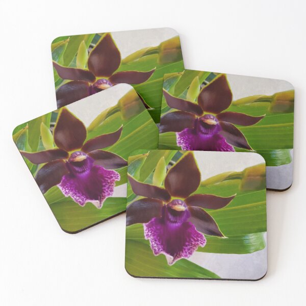 Artikelvorschau, Zygopetalum Orchidee Nahaufnahme entworfen und verkauft von kittenpink.