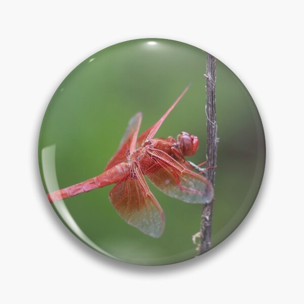 Item preview, Dragonfly designed and sold by zumi.