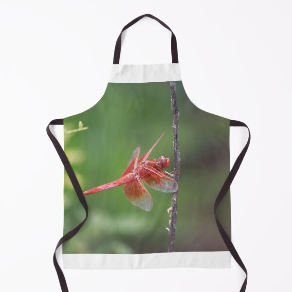 Item preview, Dragonfly designed and sold by zumi.