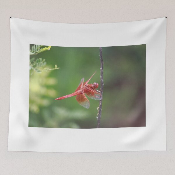 Item preview, Dragonfly designed and sold by zumi.