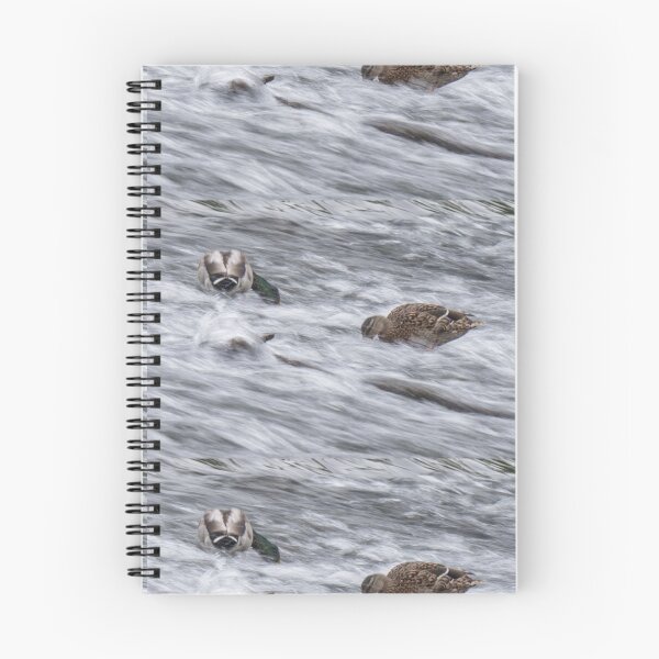 Item preview, White Water Mallard designed and sold by Alius Imago.