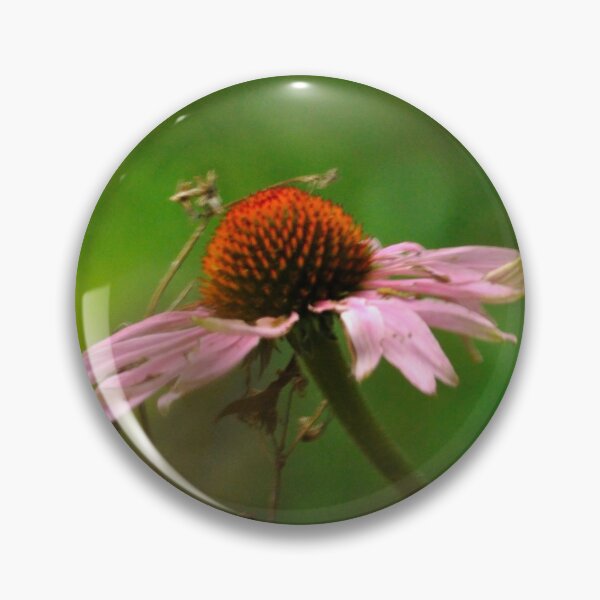 Item preview, Cone Flower 1 designed and sold by michaelasamples.