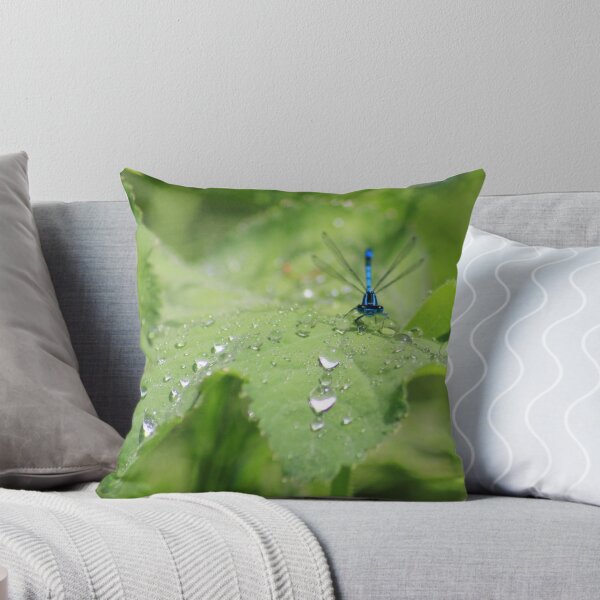 Item preview, Azure damselfly on leaf after rain designed and sold by turniptowers.