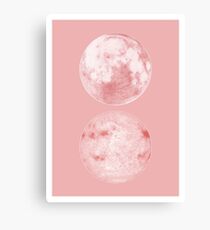 Moon and sun Canvas Print