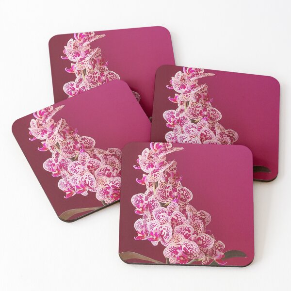 Item preview, Bunch of Cute White Phalaenopsis Orchids with Pink Spots designed and sold by kittenpink.