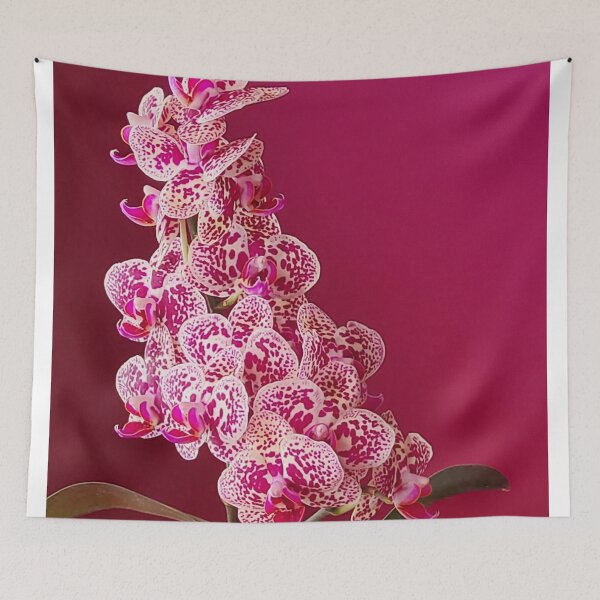 Item preview, Bunch of Cute White Phalaenopsis Orchids with Pink Spots designed and sold by kittenpink.