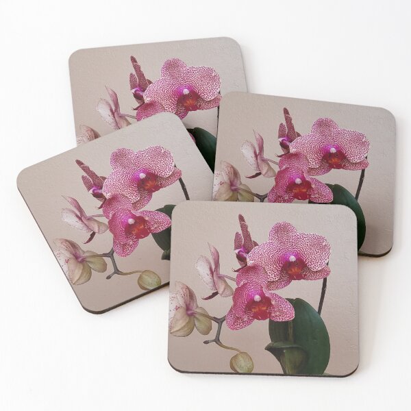 Item preview, I-Hsin Beauty Phalaenopsis Hybrid Pink Spotted White Orchid with Red Lip! designed and sold by kittenpink.