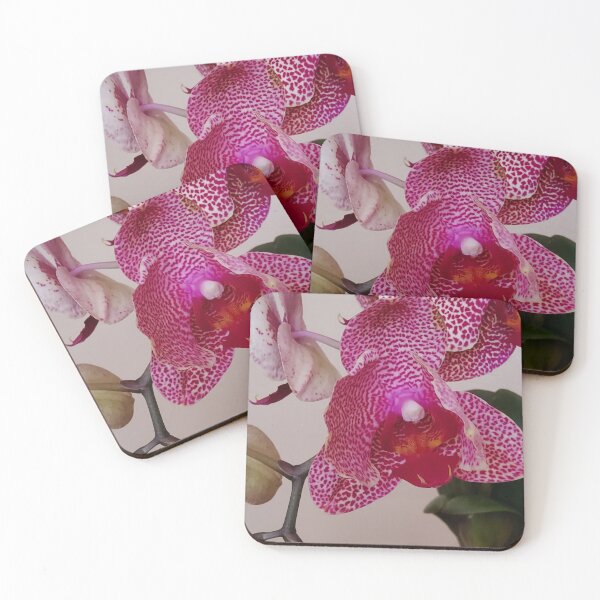 Item preview, White Phalaenopsis Orchid with Pink Burgundy Spots Close up designed and sold by kittenpink.