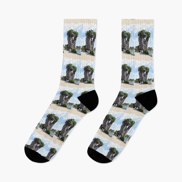 Item preview,  Fan Palms at Lake Murray, San Diego County, California  designed and sold by heatherfriedman.