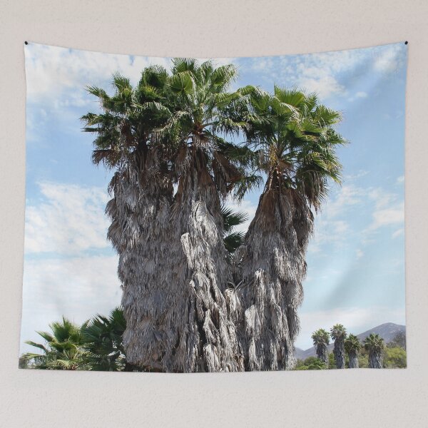 Item preview,  Fan Palms at Lake Murray, San Diego County, California  designed and sold by heatherfriedman.