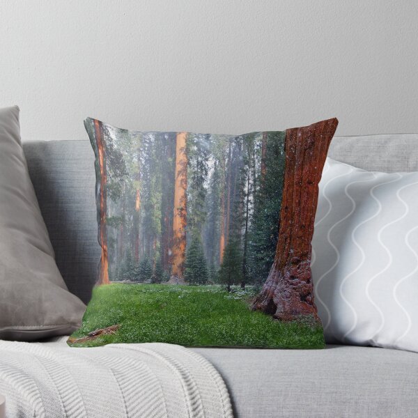 Item preview, Snow storm in Sequoia National Park designed and sold by Martin Lawrence.