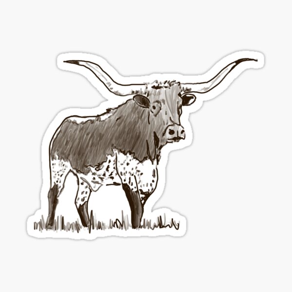 Texas Longhorn Cattle Gifts & Merchandise for Sale | Redbubble