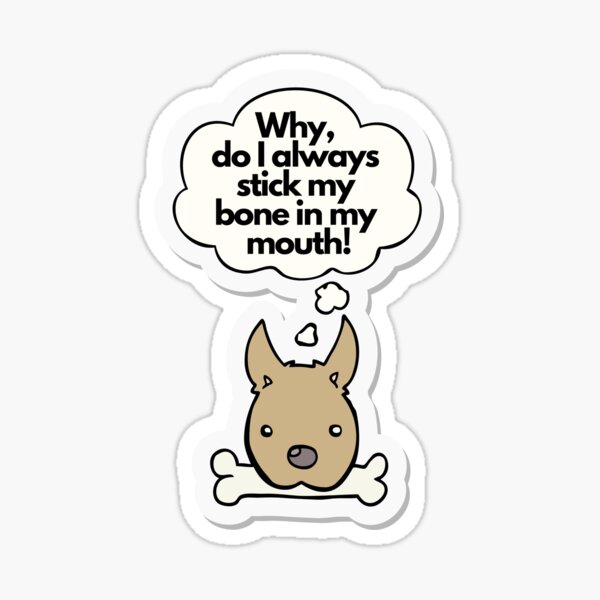 why-do-i-always-stick-my-bone-in-my-mouth-humor-funny-dog-doggy