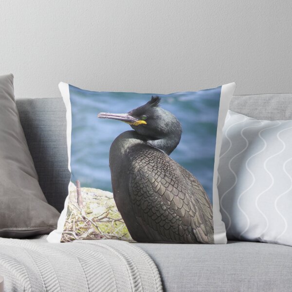 Artikelvorschau, Silky Shag entworfen und verkauft von Louie Gardiner.