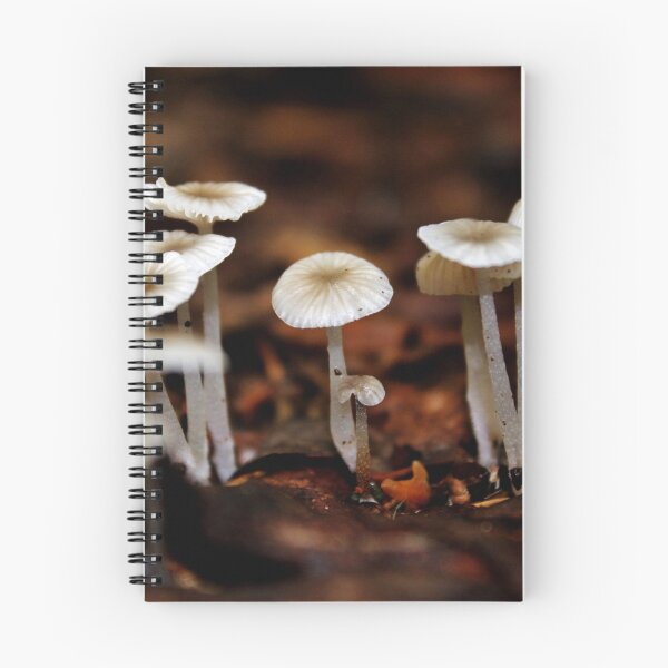 Item preview, Fungus in the Forest I designed and sold by Kathleen Daley.