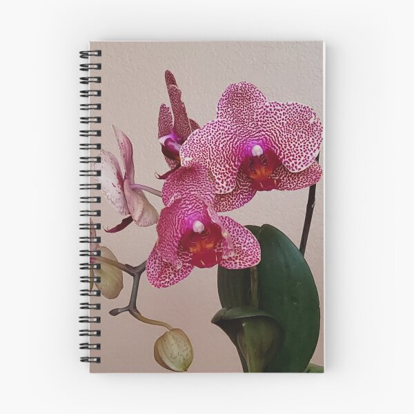Item preview, I-Hsin Beauty Phalaenopsis Hybrid Pink Spotted White Orchid with Red Lip! designed and sold by kittenpink.